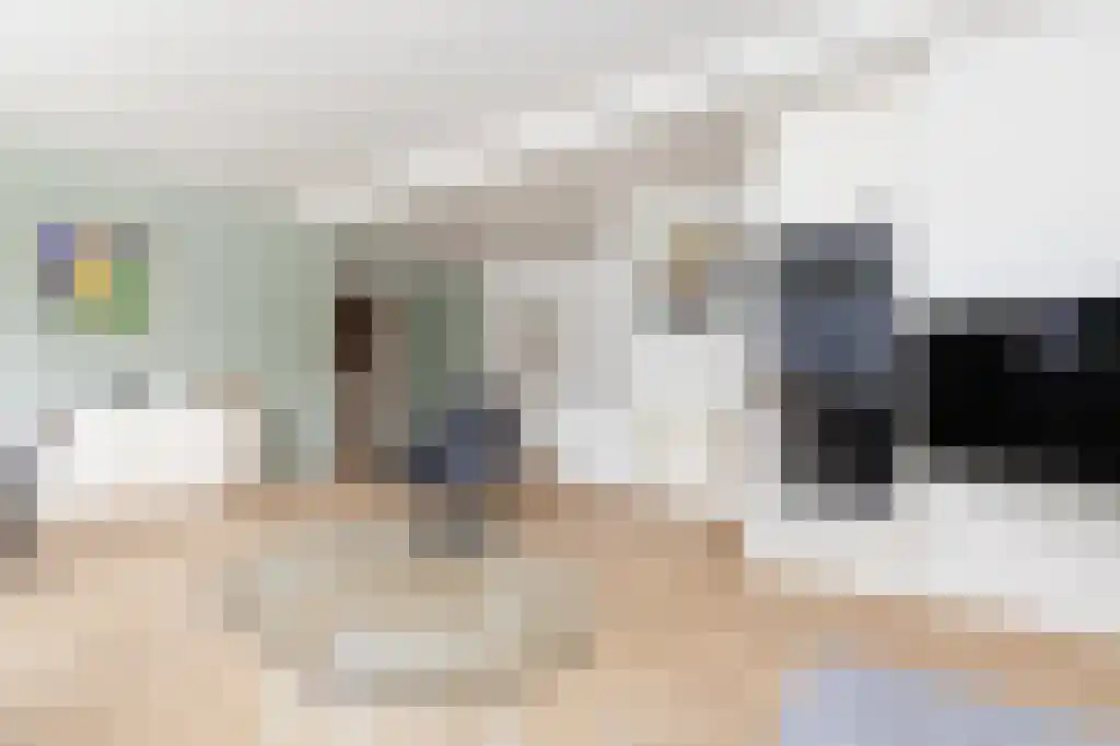 Buitenwatersloot 343 Delft thumbnail 5