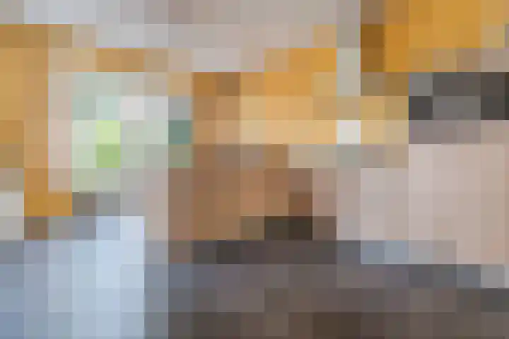 Buitenwatersloot 399 Delft thumbnail 13