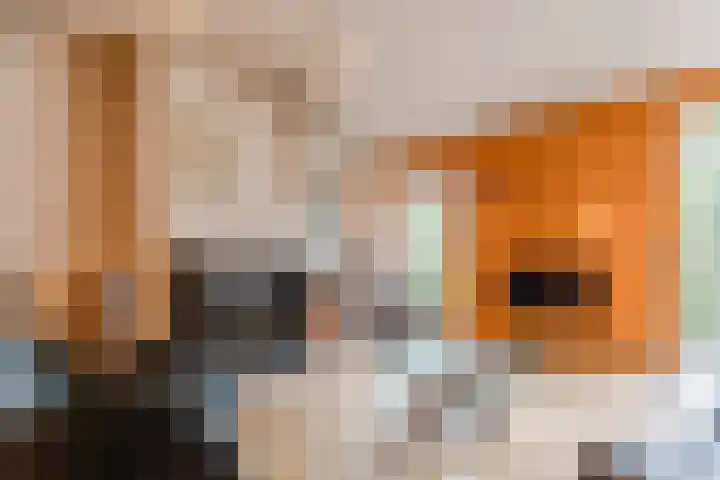 Buitenwatersloot 399 Delft thumbnail 17