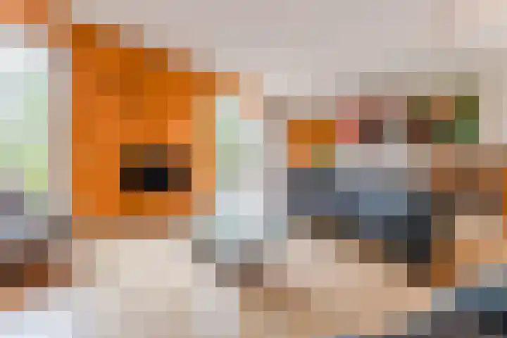 Buitenwatersloot 399 Delft thumbnail 18
