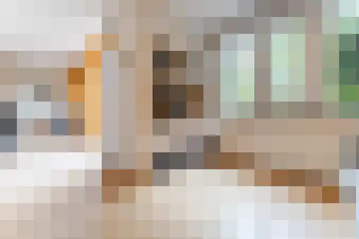 Buitenwatersloot 399 Delft thumbnail 21