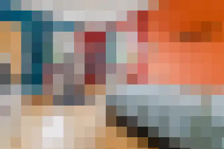 Buitenwatersloot 399 Delft thumbnail 24