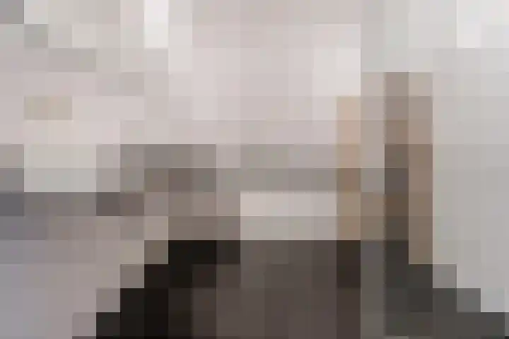 Buitenwatersloot 399 Delft thumbnail 31