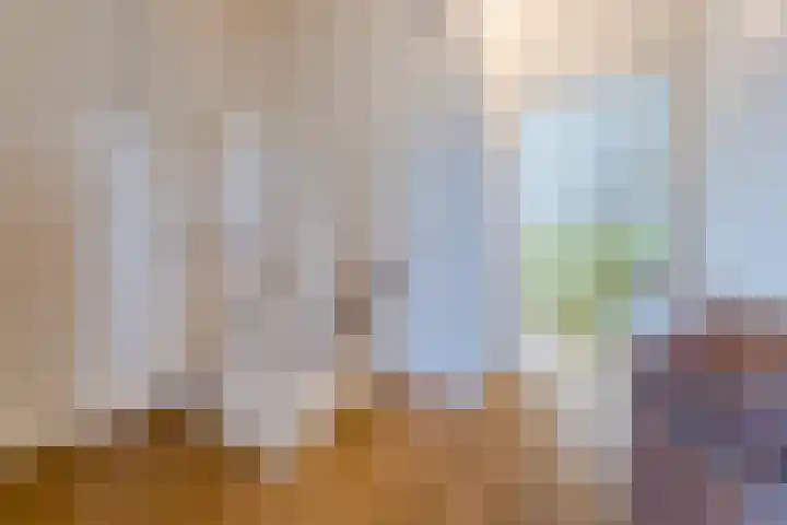 Buitenwatersloot 399 Delft thumbnail 35