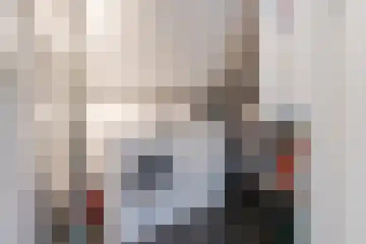 Buitenwatersloot 399 Delft thumbnail 37