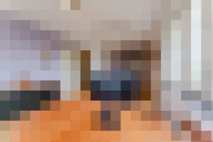 Buitenwatersloot 399 Delft thumbnail 38