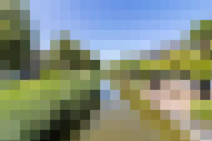 Buitenwatersloot 399 Delft thumbnail 4