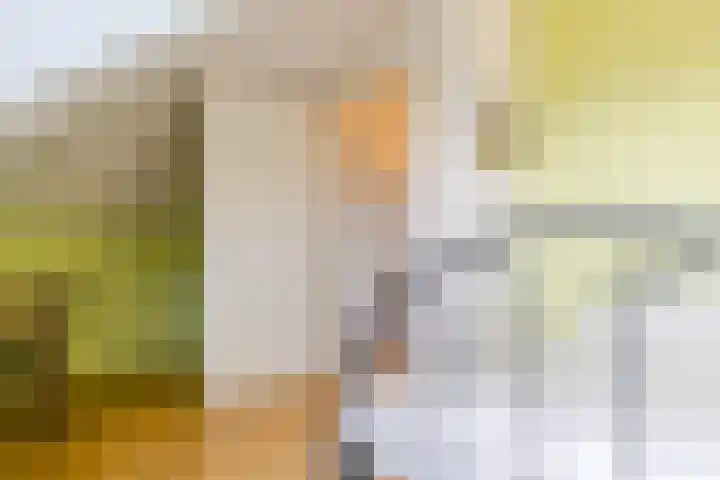 Buitenwatersloot 399 Delft thumbnail 40