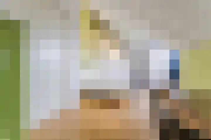 Buitenwatersloot 399 Delft thumbnail 41