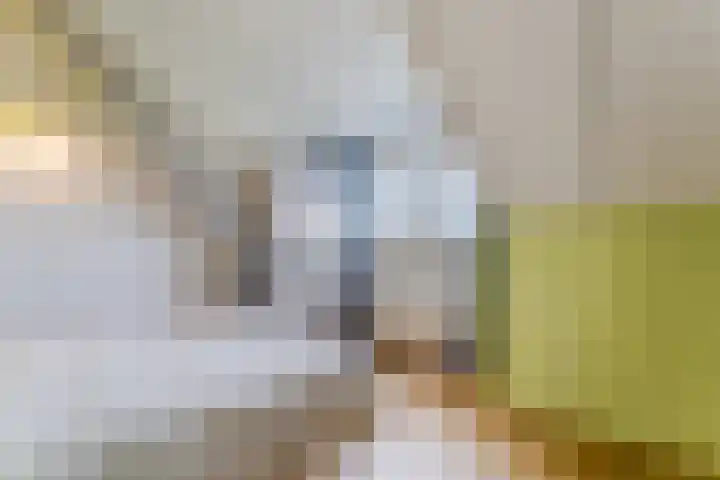 Buitenwatersloot 399 Delft thumbnail 42