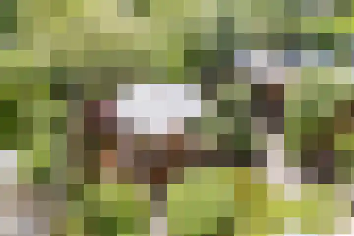 Buitenwatersloot 399 Delft thumbnail 43