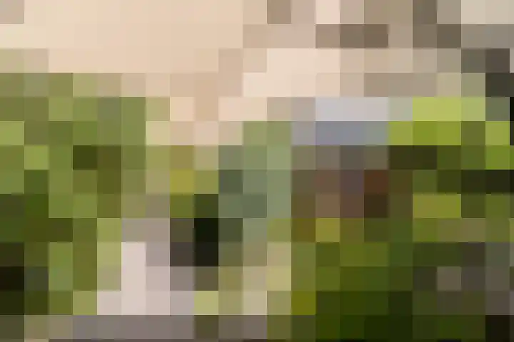 Buitenwatersloot 399 Delft thumbnail 44