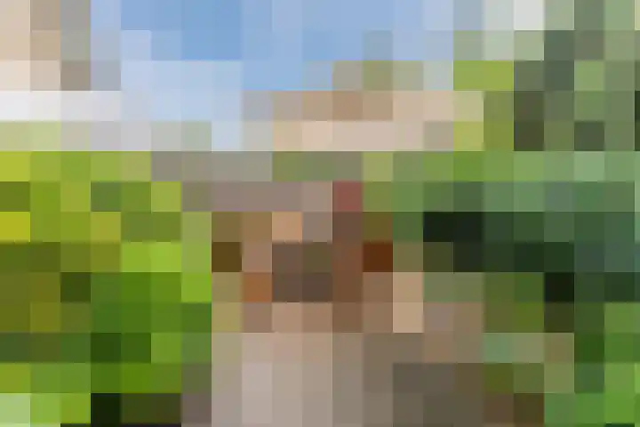 Buitenwatersloot 399 Delft thumbnail 45