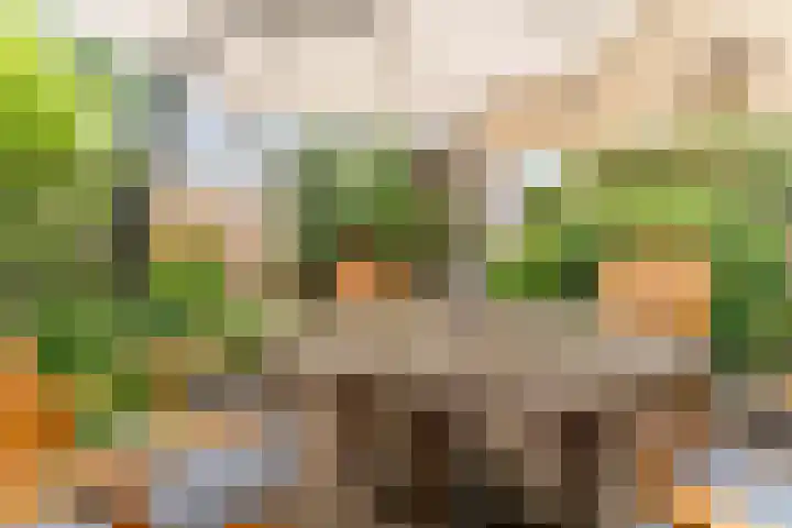 Buitenwatersloot 399 Delft thumbnail 46