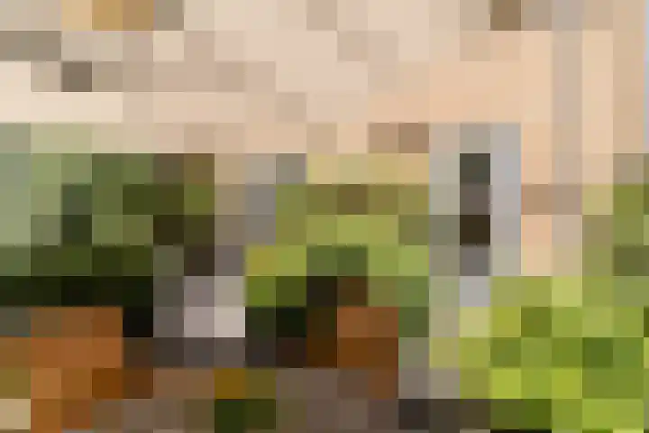 Buitenwatersloot 399 Delft thumbnail 47