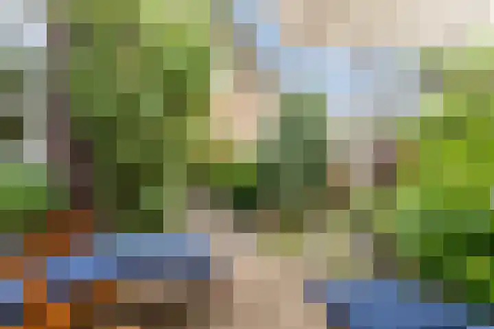 Buitenwatersloot 399 Delft thumbnail 49