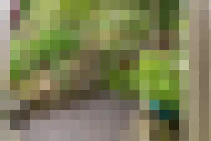 Buitenwatersloot 399 Delft thumbnail 50