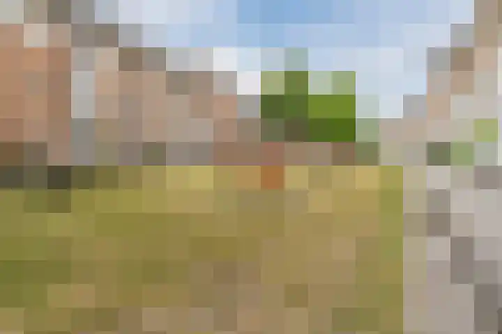 Buitenwatersloot 399 Delft thumbnail 54