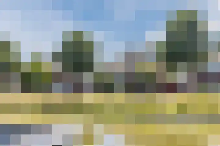 Buitenwatersloot 399 Delft thumbnail 6