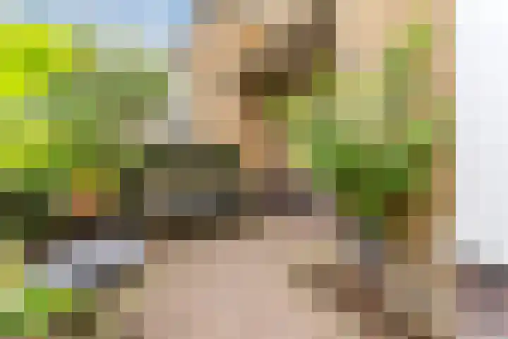 Buitenwatersloot 399 Delft thumbnail 9
