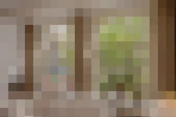 Buitenwatersloot 58 Delft thumbnail 11