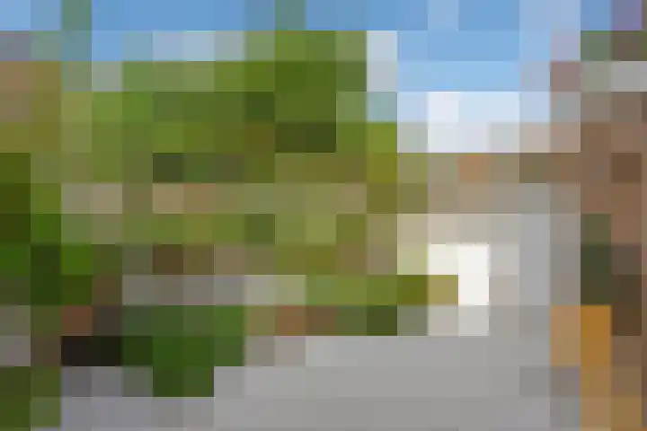 Buitenwatersloot 58 Delft thumbnail 22