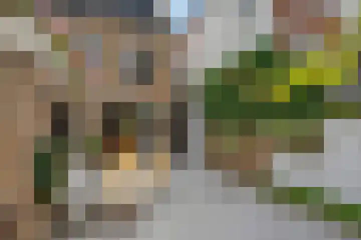 Buitenwatersloot 58 Delft thumbnail 25