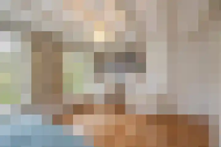 Buitenwatersloot 58 Delft thumbnail 30