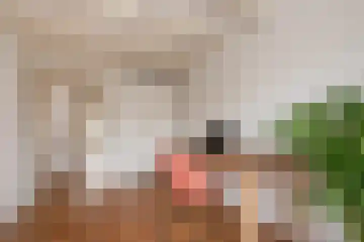 Buitenwatersloot 58 Delft thumbnail 36