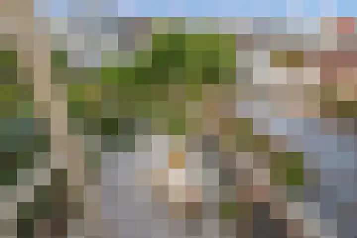 Buitenwatersloot 58 Delft thumbnail 38