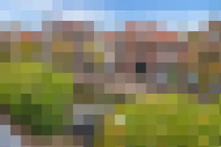 Buitenwatersloot 58 Delft thumbnail 45
