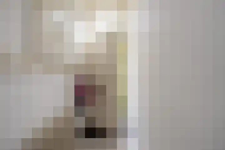 Buitenwatersloot 58 Delft thumbnail 7
