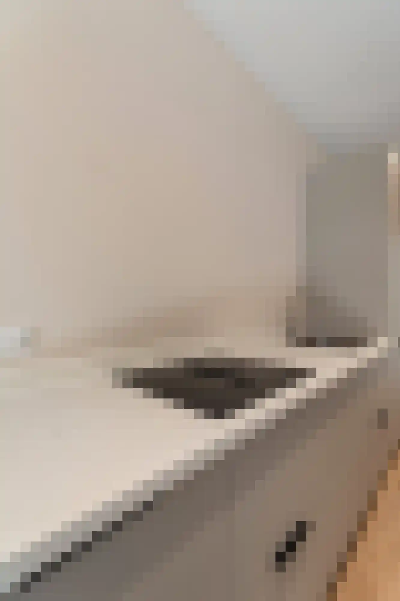 Buitenwatersloot 7 B Delft thumbnail 27