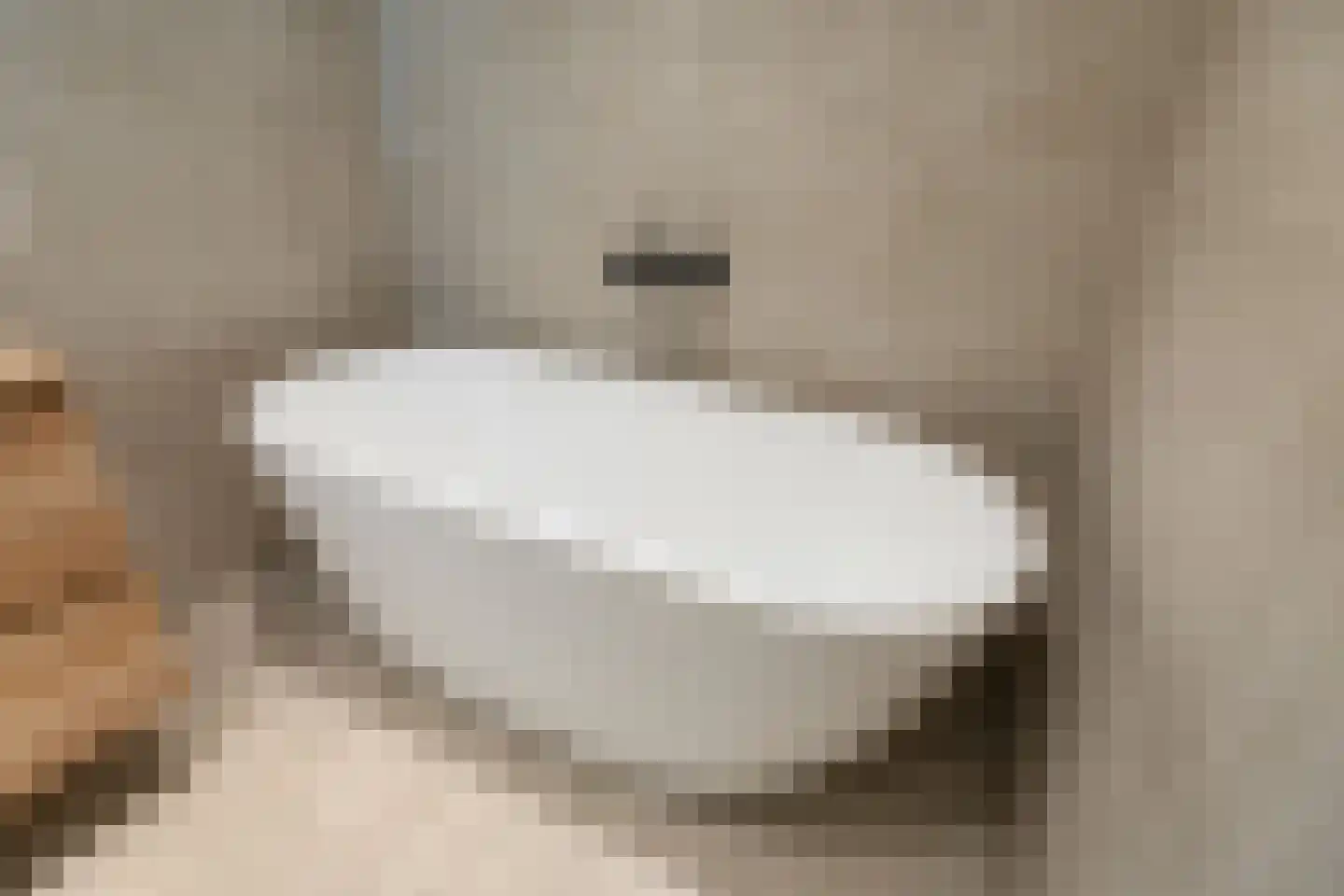 Buitenwatersloot 7 B Delft thumbnail 38