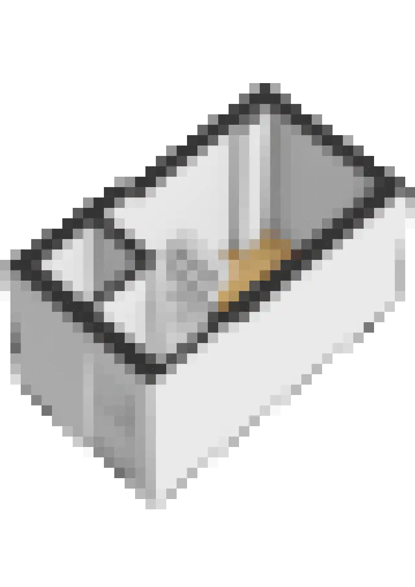 Buitenwatersloot 7 C Delft thumbnail 60