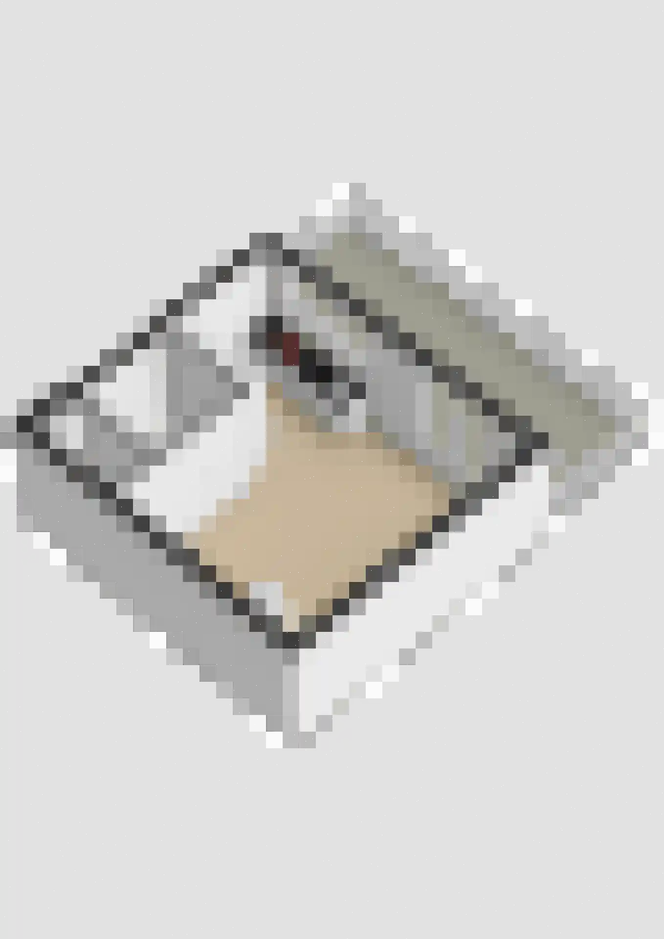 Buitenwatersloot 7 C Delft thumbnail 63