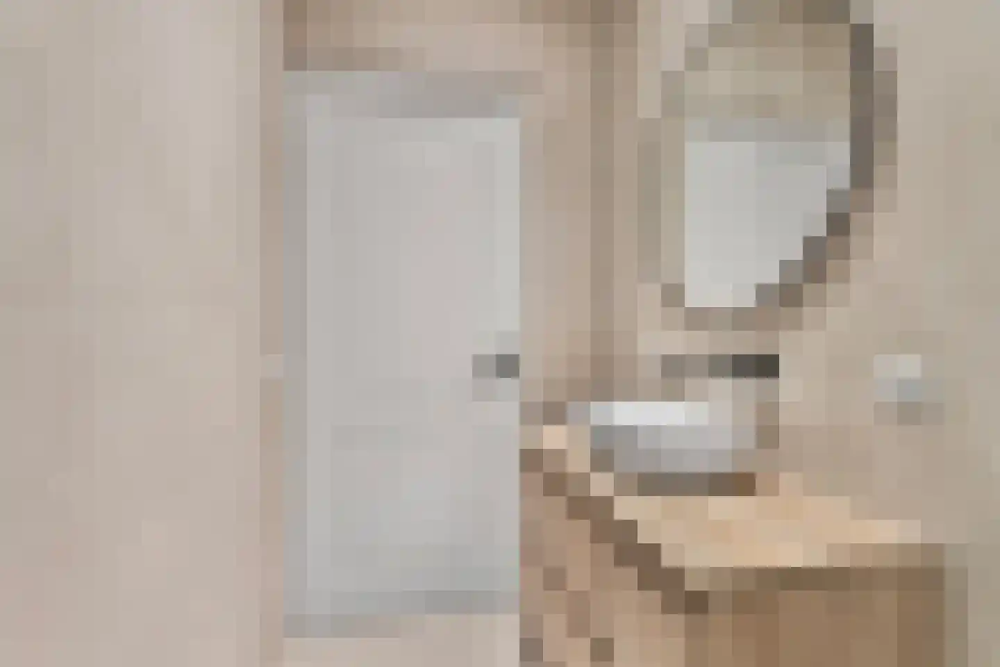 Buitenwatersloot 7 D Delft thumbnail 33