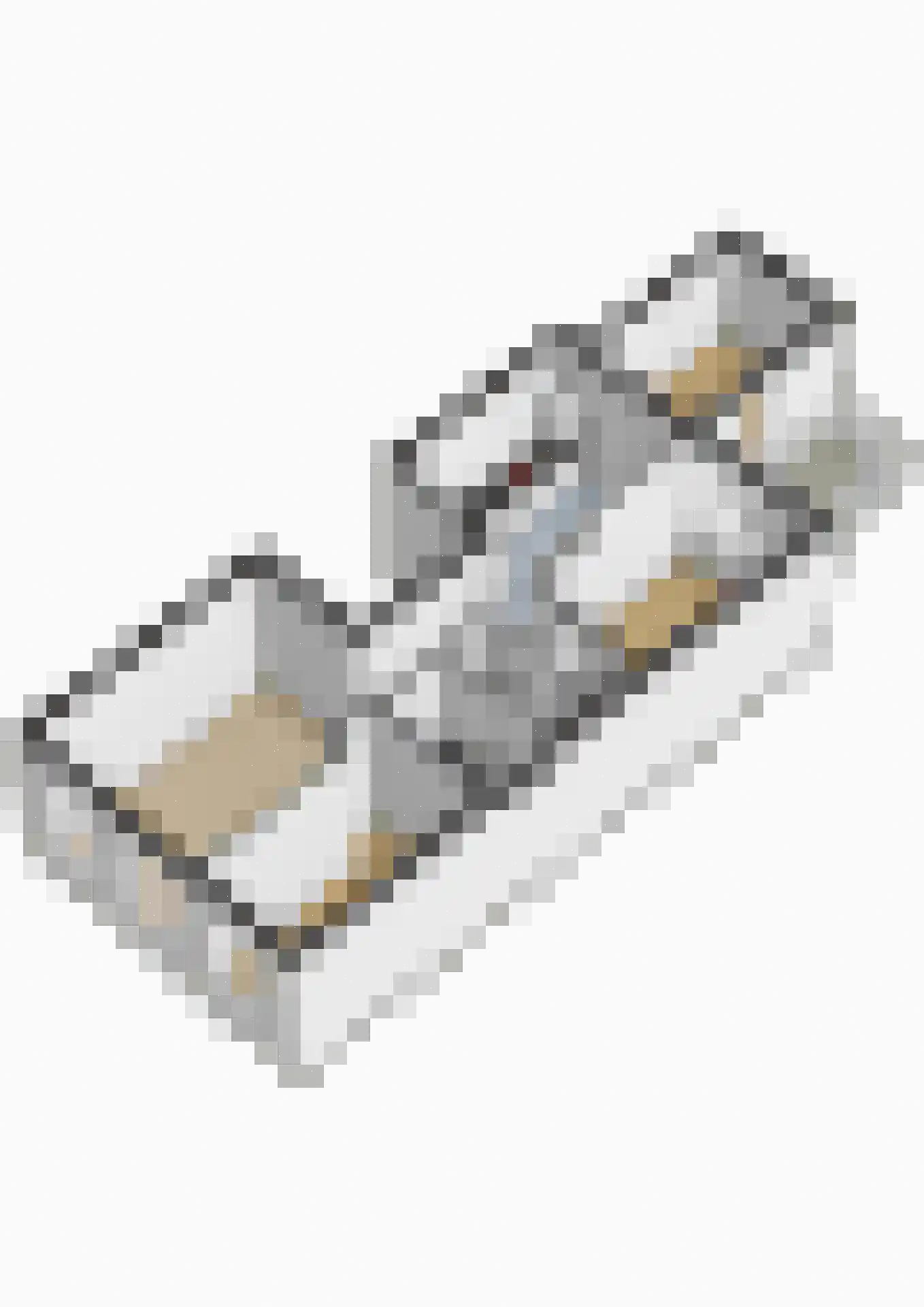 Buitenwatersloot 7 D Delft thumbnail 47