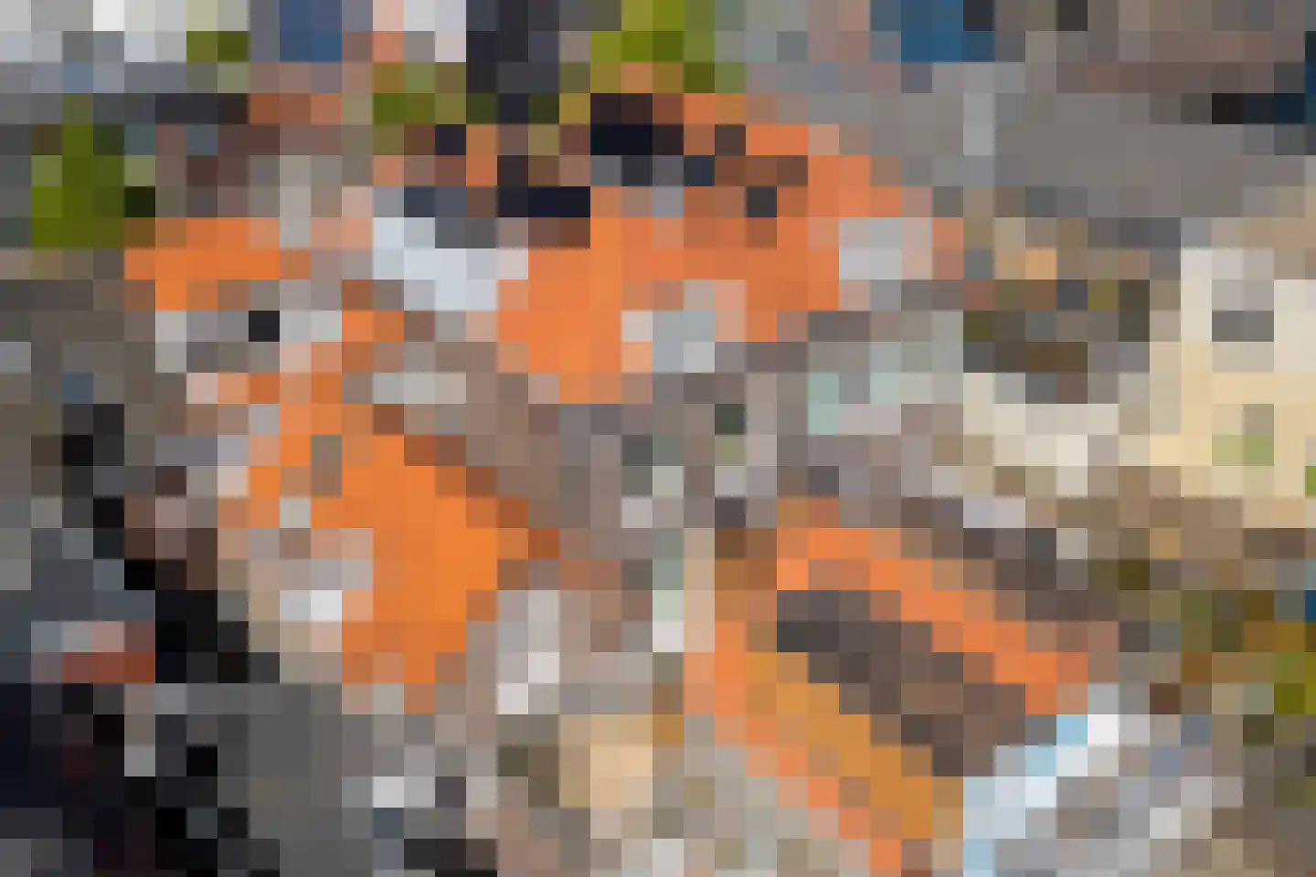 Buitenwatersloot 7 E Delft thumbnail 42