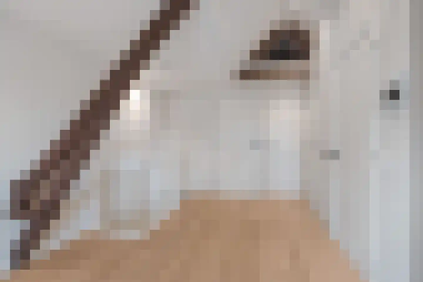 Buitenwatersloot 7 F Delft thumbnail 17