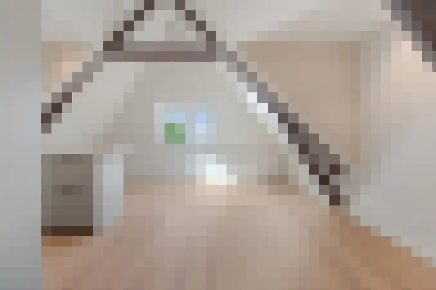 Buitenwatersloot 7 F Delft thumbnail 20