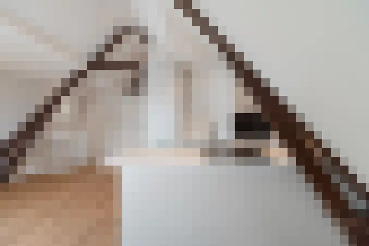 Buitenwatersloot 7 F Delft thumbnail 24