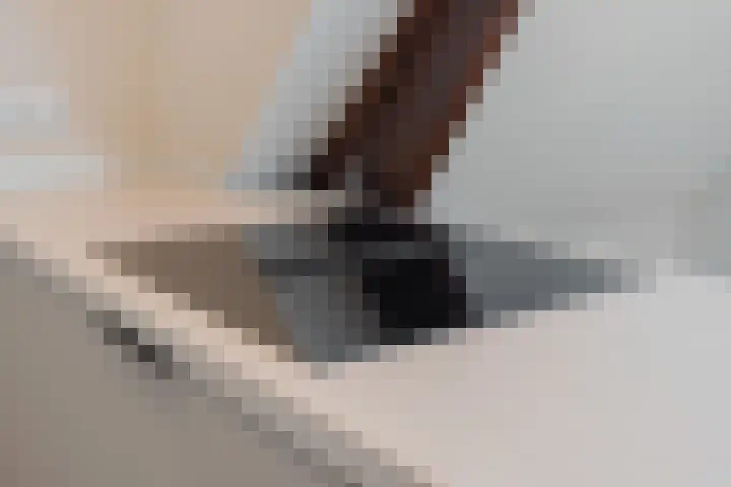 Buitenwatersloot 7 F Delft thumbnail 27