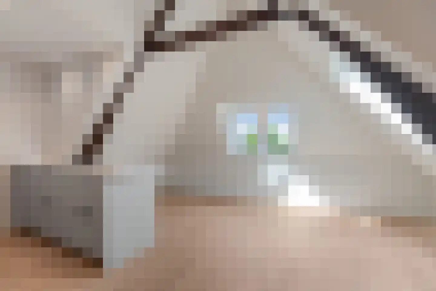 Buitenwatersloot 7 F Delft thumbnail 30