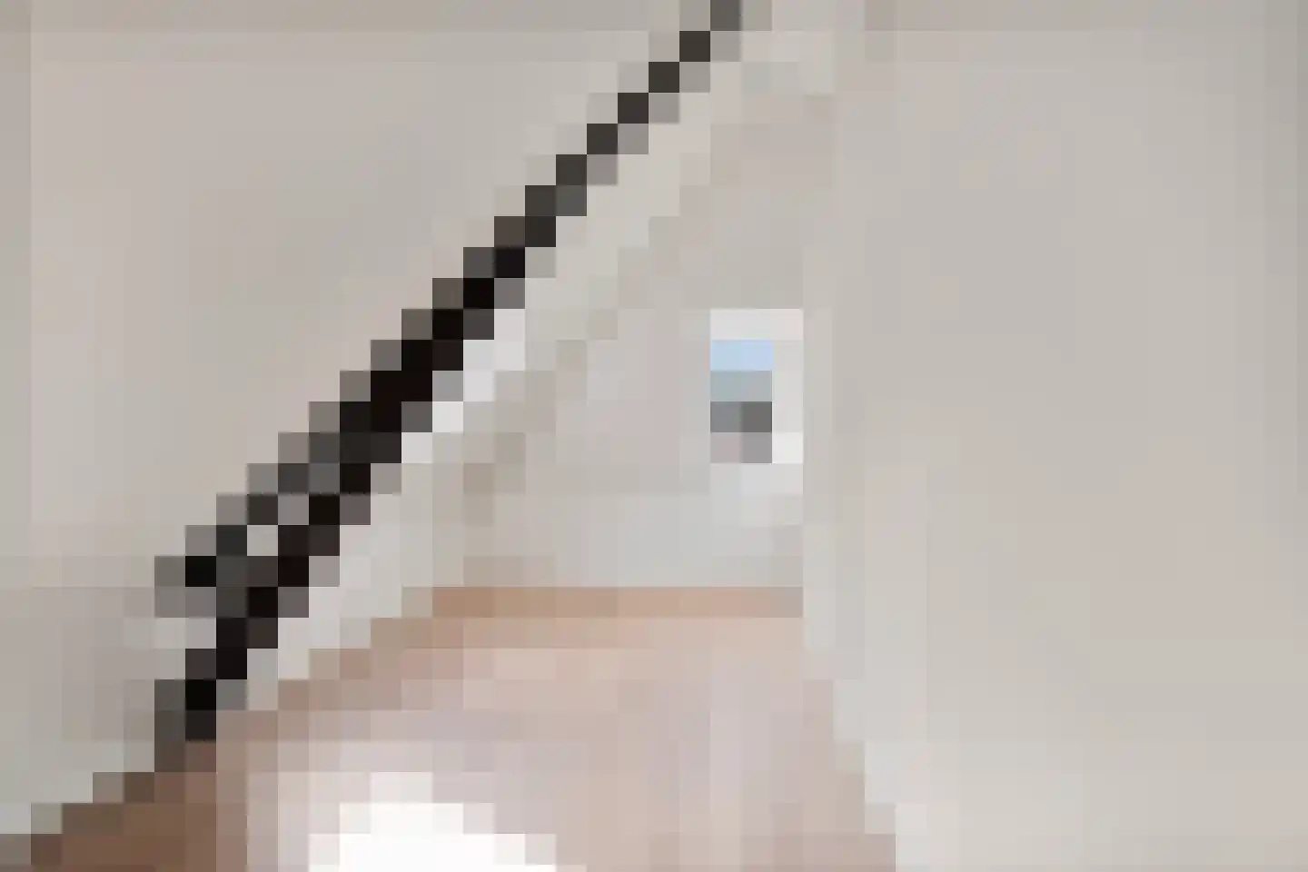 Buitenwatersloot 7 F Delft thumbnail 41