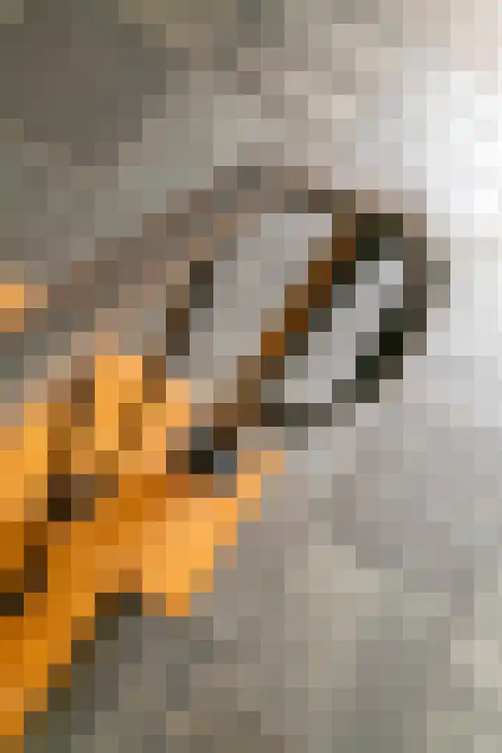Buitenweg 1 a Maurik thumbnail 12