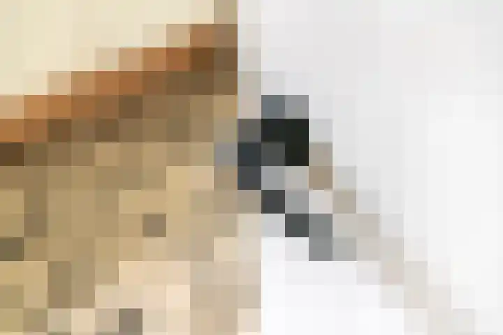 Buitenweg 1 a Maurik thumbnail 24