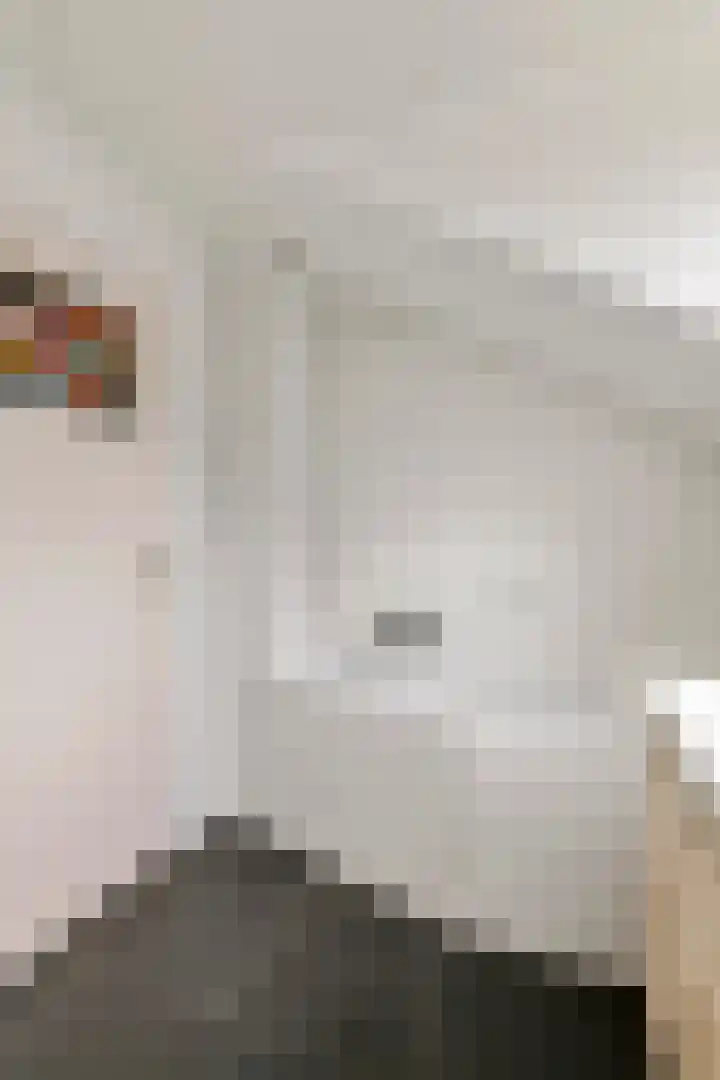 Buitenweg 1 a Maurik thumbnail 41