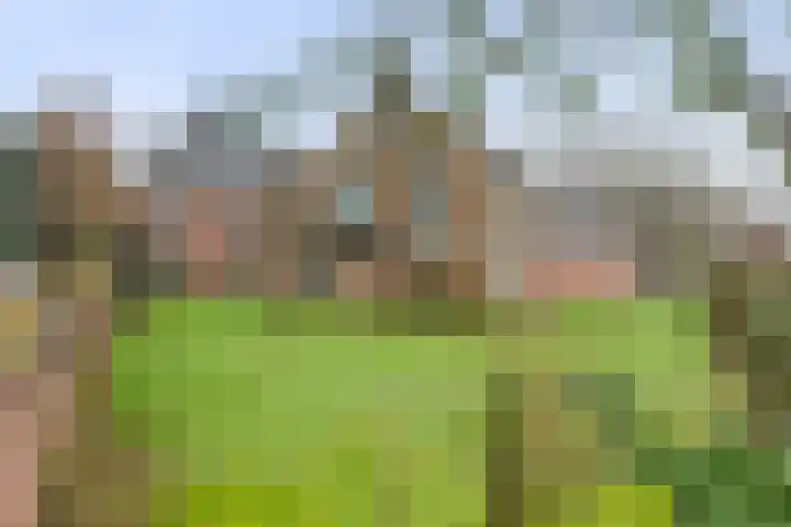 Buitenweg 1 a Maurik thumbnail 5