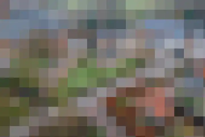 Buitenweg 1 a Maurik thumbnail 50